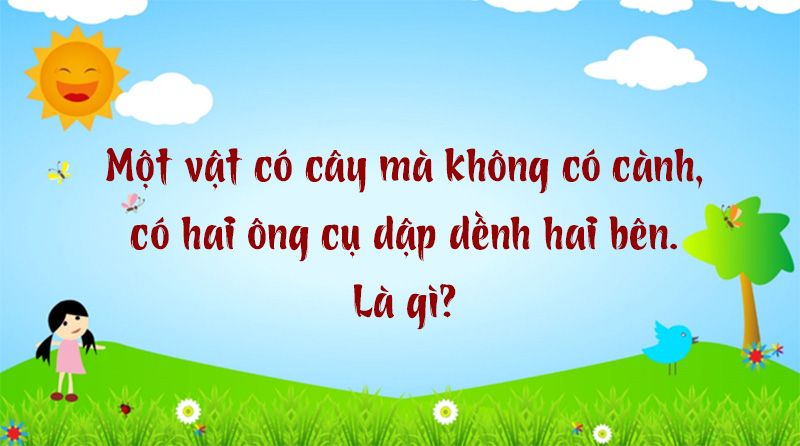 Câu đố hack não: Trên đá, dưới đá, ở giữa có cái lá vắt vẻo là gì ...