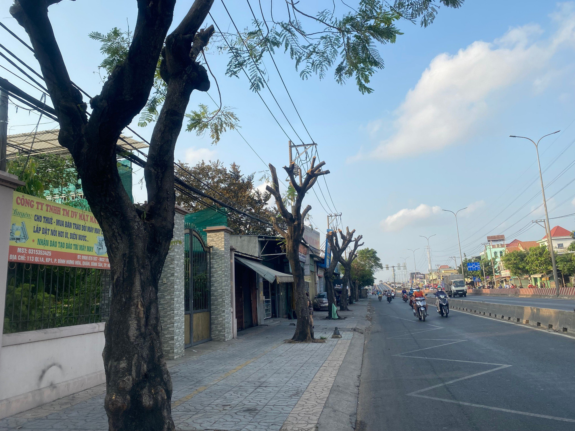 Lý do nào loạt cây xanh ở Hà Nội bị cắt trơ trụi giữa hè nắng nóng?- Ảnh 2. Cắt trụi lủi cây xanh đô thị: Người dân bực mình vô kể