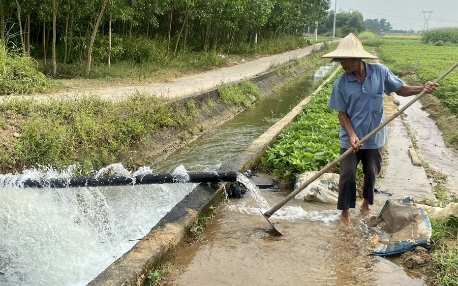 Gia cố đập chia nước giữa Quảng Nam - Đà Nẵng: Không cần lấy ý kiến cư dân- Ảnh 4. Nước hồ chứa bằng 80% so với cùng kỳ, lo chống hạn sớm