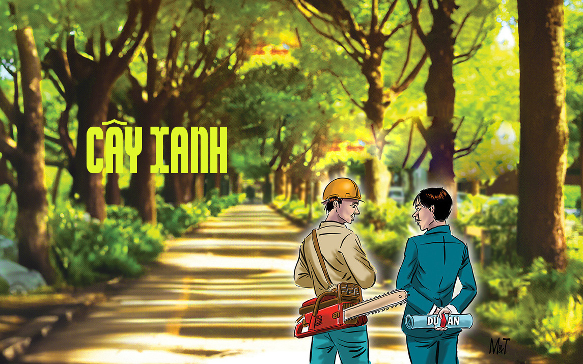 Bản Nà Ón tái định cư thiếu cây xanh, dân kêu trời vào mùa nóng- Ảnh 7. Cây xanh đô thị: Trồng thì lâu, chặt chỉ mất 30 giây