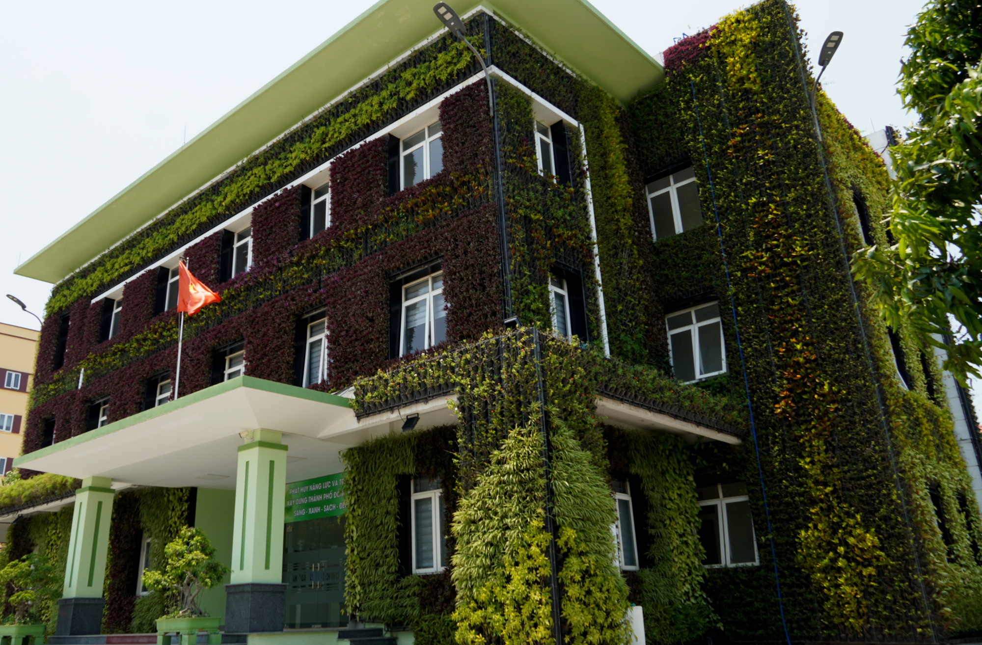Toàn bộ trụ sở được phủ xanh tạo ra không gian xanh mát và khác biệt với các trụ sở khác - Ảnh: QUỐC NAM
