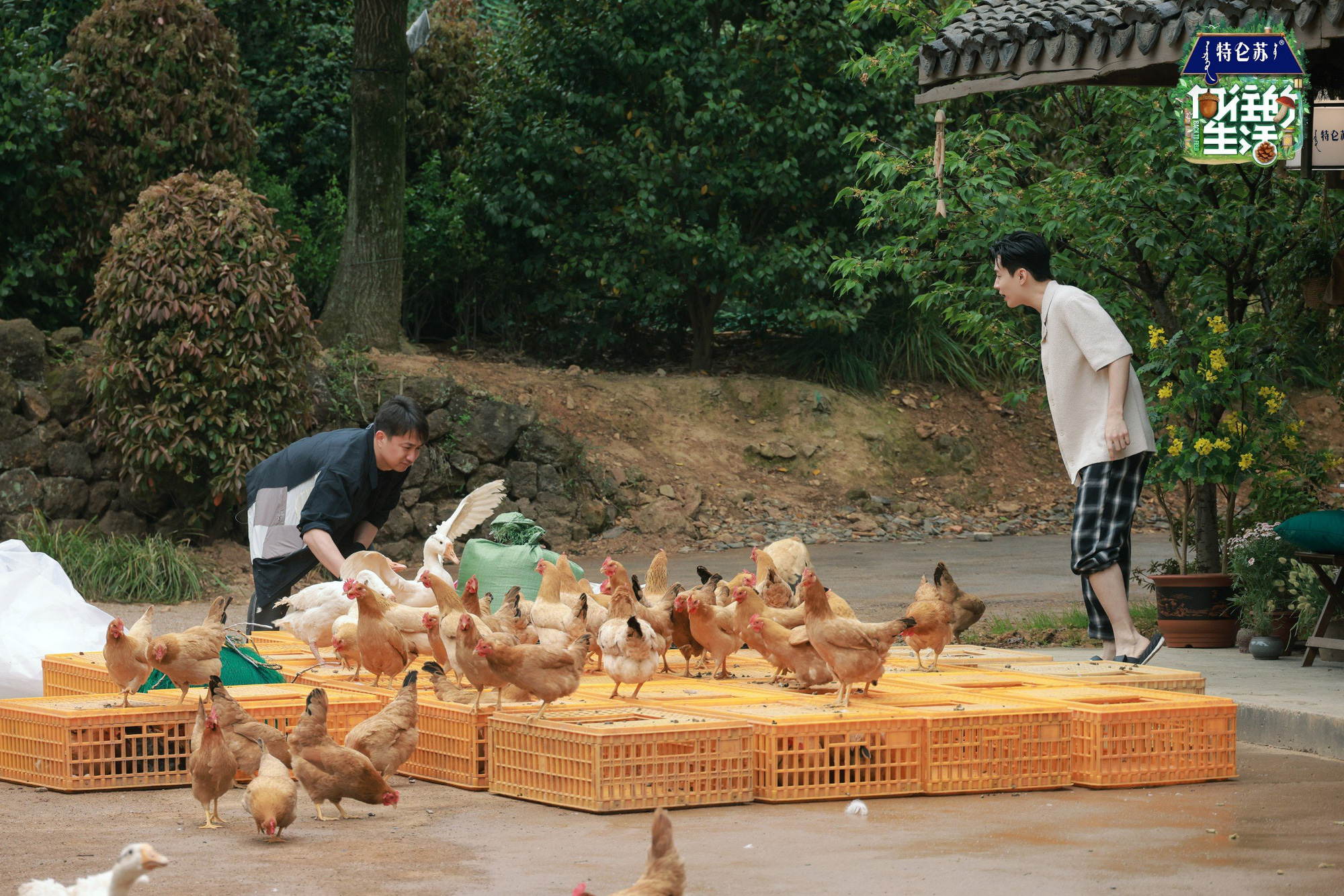 Các nghệ sĩ khách mời nổi tiếng trải nghiệm cuộc sống miền quê khi tham gia chương trình "Haha nông phu" tại Trung Quốc - Ảnh: NSX