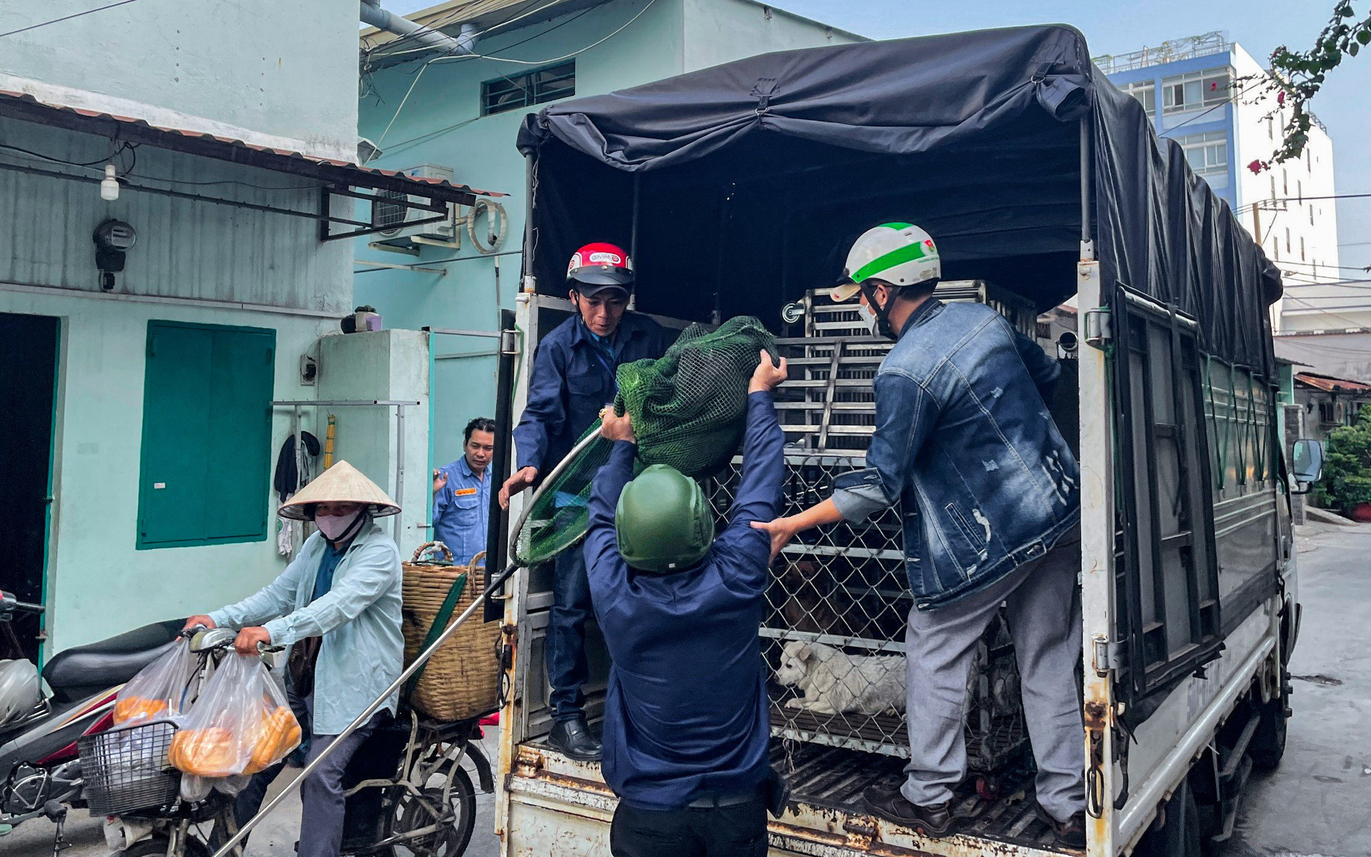 Bị nhắc vì đưa chó vào khu vui chơi của trẻ, cô gái lý lẽ 'chó cũng như trẻ con'- Ảnh 4. Liên hệ đội bắt chó thả rông: Thống nhất một đầu mối qua tổng đài 1022?