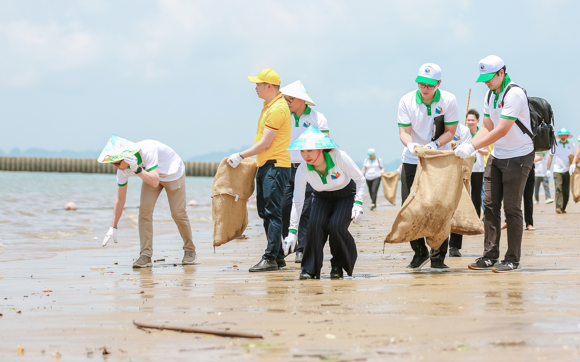 Du khách được chèo thuyền kayak miễn phí nếu nhặt rác ở thủ đô Đan Mạch- Ảnh 3. Phái đoàn châu Âu cùng gom rác trên biển Hạ Long