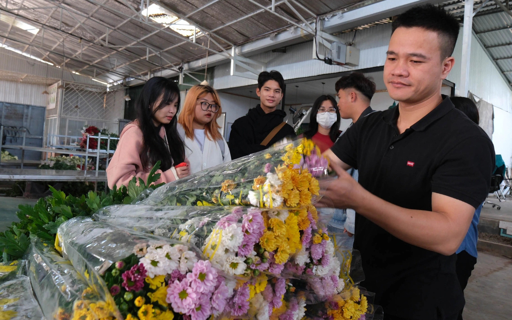 Giá hoa cúc Đà Lạt vẫn cao ngất ngưởng dù đã qua đại lễ Phật đản- Ảnh 5. Chưa từng có tiền lệ: Giá hoa cúc gấp 10 lần hoa hồng Đà Lạt