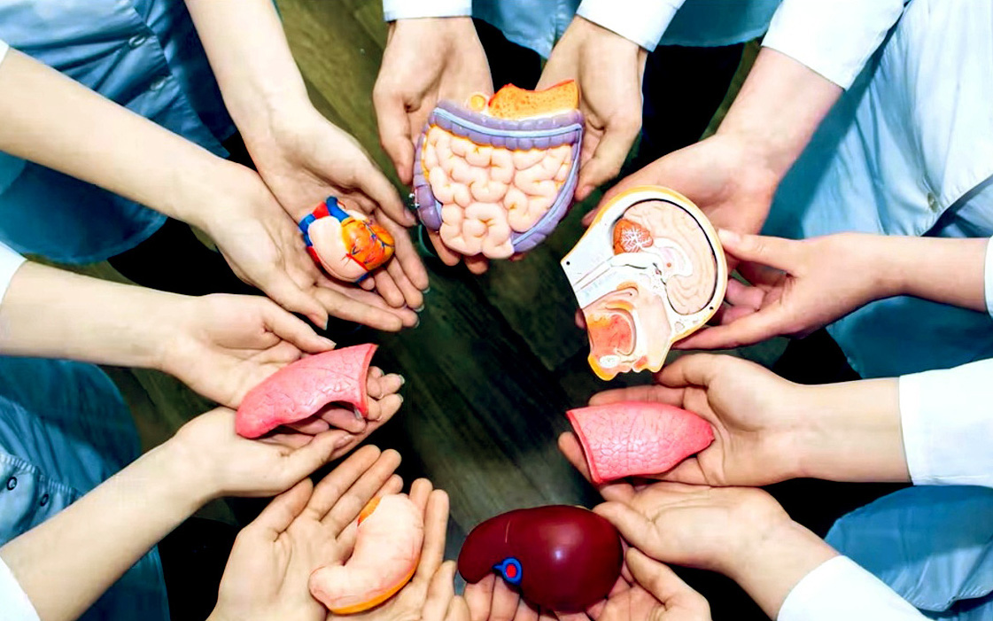 Giáo hội Phật giáo Việt Nam kêu gọi hiến mô tạng cứu người- Ảnh 2. Đăng ký hiến mô tạng, ‘đừng để nguồn sống chôn vùi dưới lòng đất’