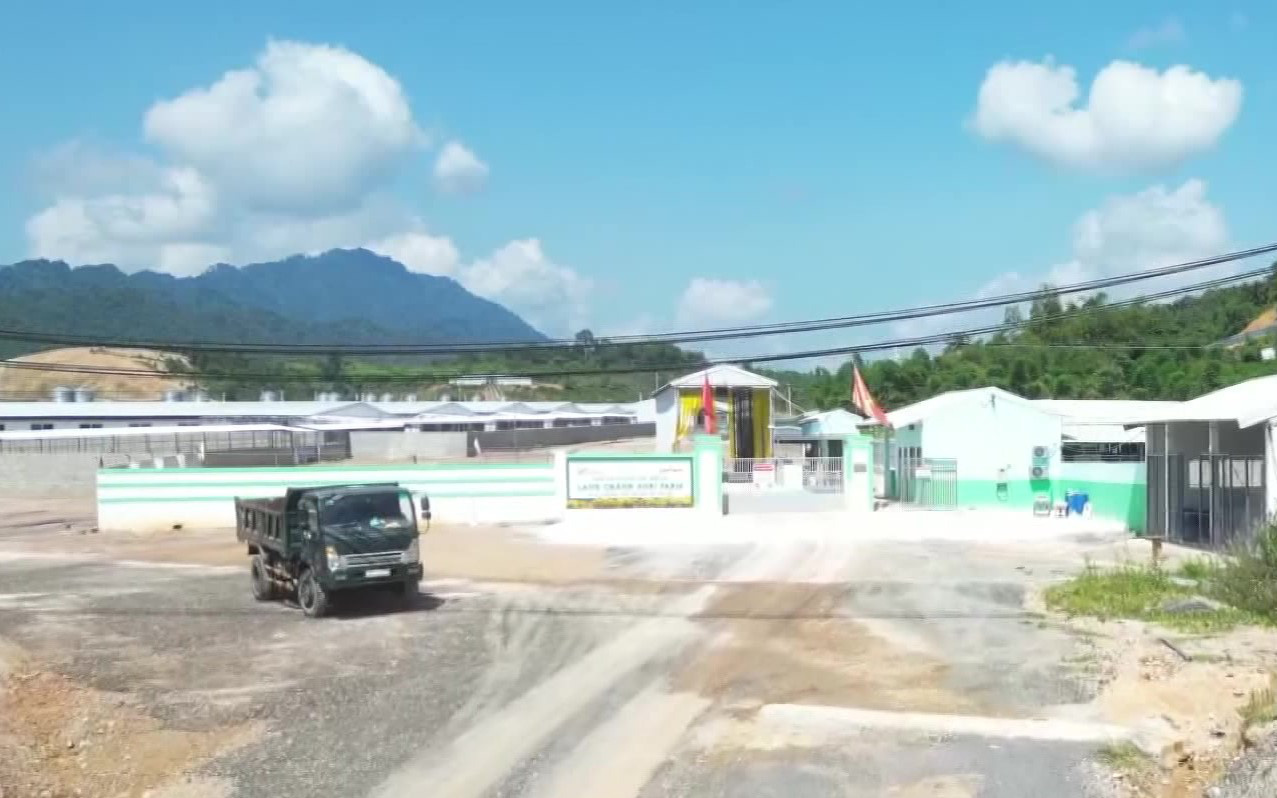 Xử phạt trang trại nuôi heo hơn 440 triệu đồng vì gây ô nhiễm môi trường - Ảnh 2.