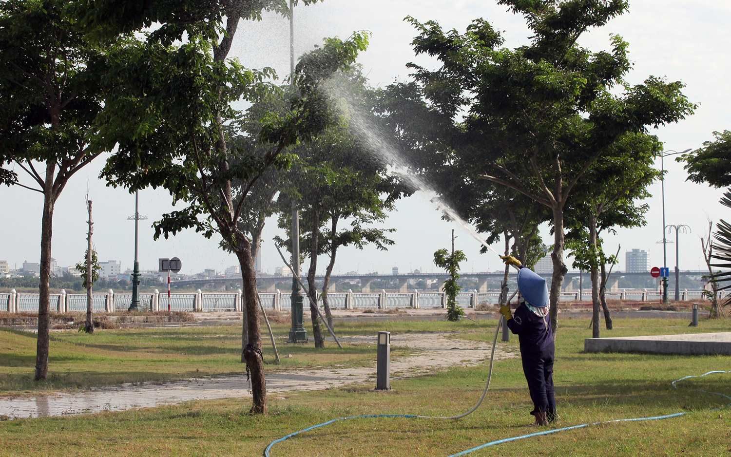 Các dự án trồng, chăm sóc cây xanh, chỉnh trang đô thị ở Phú Yên hơn 307 tỉ đồng