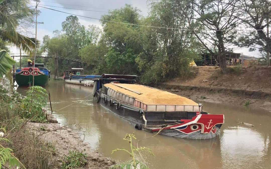 Chủ tịch Tập đoàn Lộc Trời Huỳnh Văn Thòn: Lần này có lỗi với bà con, tôi đau quá!- Ảnh 3. Lộc Trời trả xong tiền nợ mua lúa, gửi lời xin lỗi nông dân