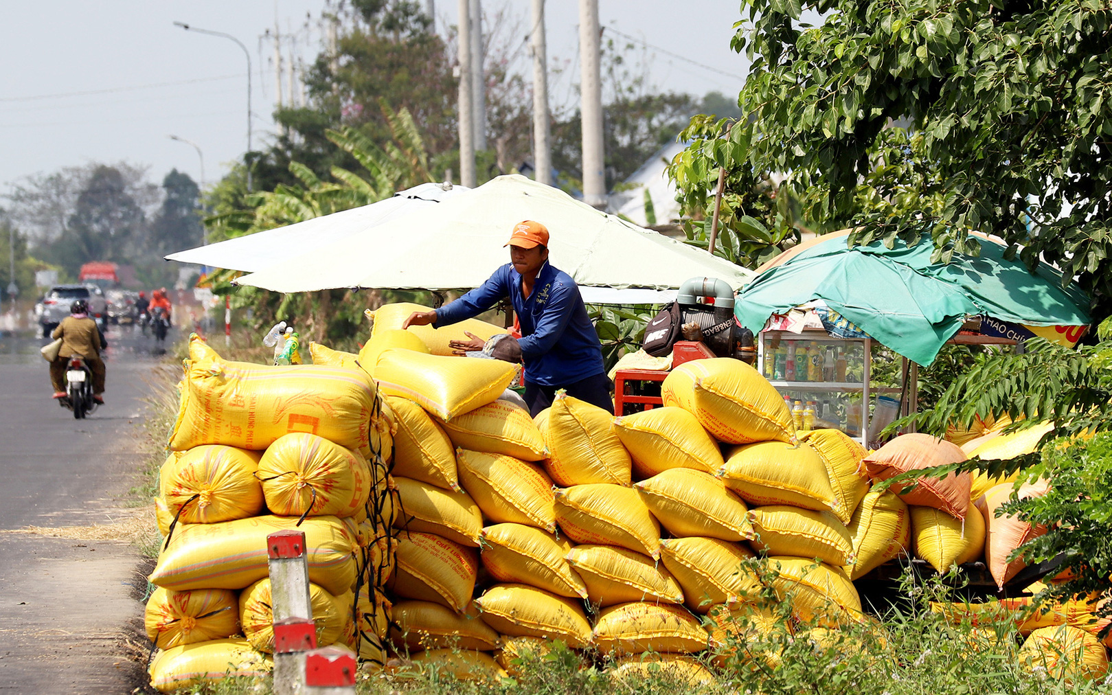 Lộc Trời bỏ giá thấp để xuất khẩu sang Indonesia, thiệt hại cho ngành lúa gạo?- Ảnh 2. Chủ tịch Tập đoàn Lộc Trời Huỳnh Văn Thòn: Lần này có lỗi với bà con, tôi đau quá!