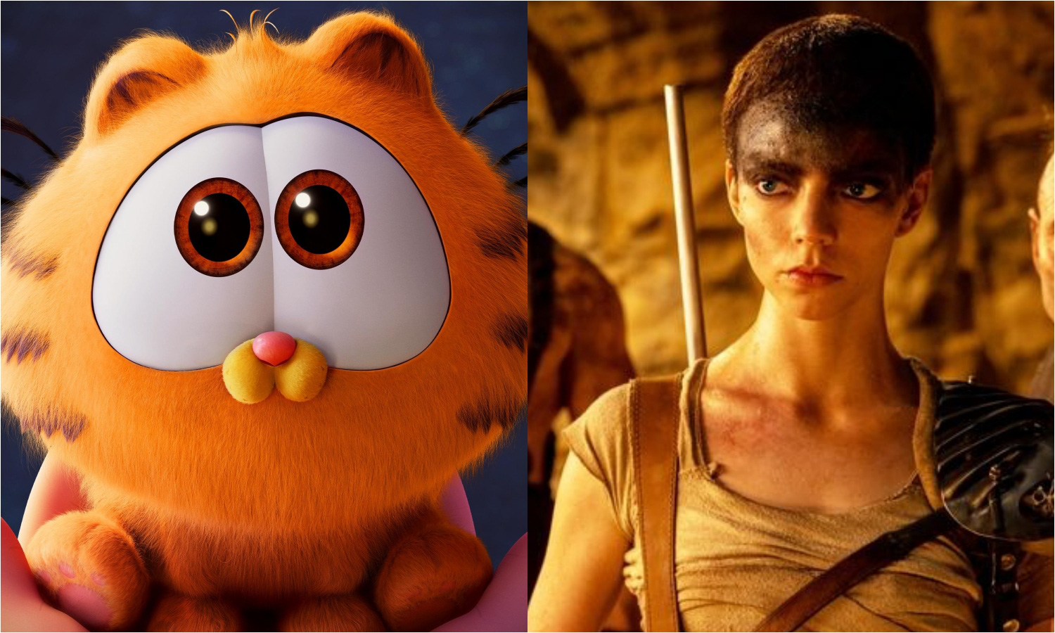 The Garfield Movie និង Furiosa: A Mad Max Saga នាំមុខគេនៅ Box Office អាមេរិកខាងជើង ប៉ុន្តែប្រាក់ចំណូលមិនខ្ពស់ទេ - រូបថត៖ IMDb The Garfield Movie và Furiosa: A Mad Max Saga dẫn đầu phòng vé Bắc Mỹ nhưng doanh thu không phải là cao - Ảnh: IMDb