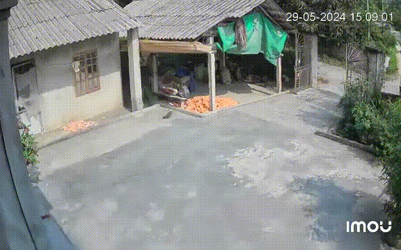 Động đất ở Yên Bái- Ảnh 2. Động đất ở Lục Yên, Yên Bái