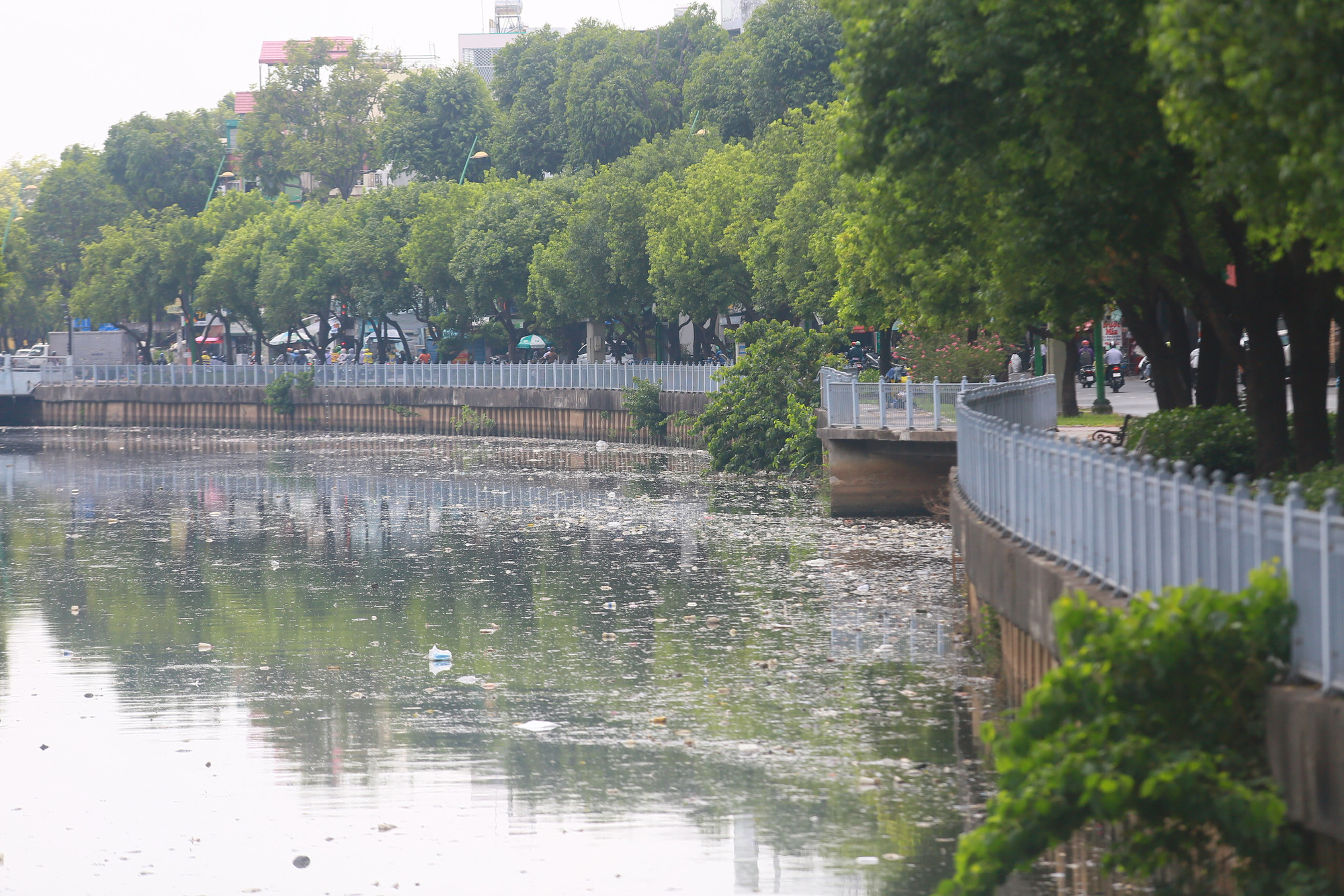 Sau vài cơn mưa đầu mùa, cá và rác lại nổi trên kênh Nhiêu Lộc - Thị Nghè- Ảnh 6. Sau vài cơn mưa đầu mùa, cá và rác lại nổi trên kênh Nhiêu Lộc - Thị Nghè- Ảnh 6.