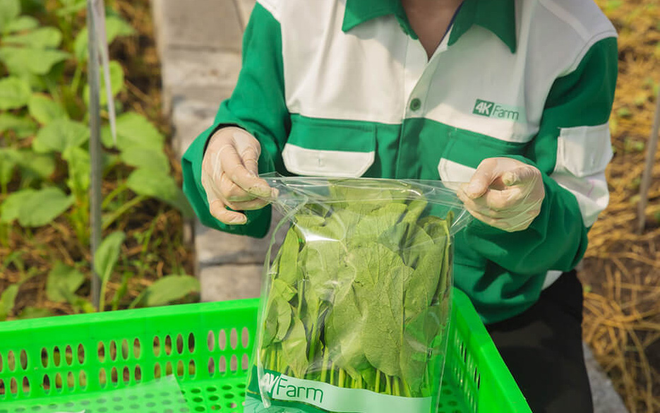 Thế Giới Di Động giải thể 2 công ty con mang "ước mơ" rau sạch và vận chuyển bài bản