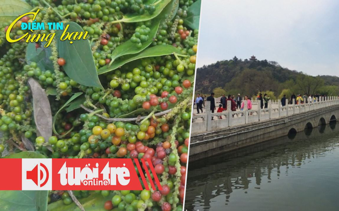Vụ hồ tiêu, cà phê nghi mất tại cảng Cát Lái: Phối hợp để điều tra vụ việc đến cùng- Ảnh 2. Điểm tin 8h: Hồ tiêu, cà phê xuất từ cảng bị