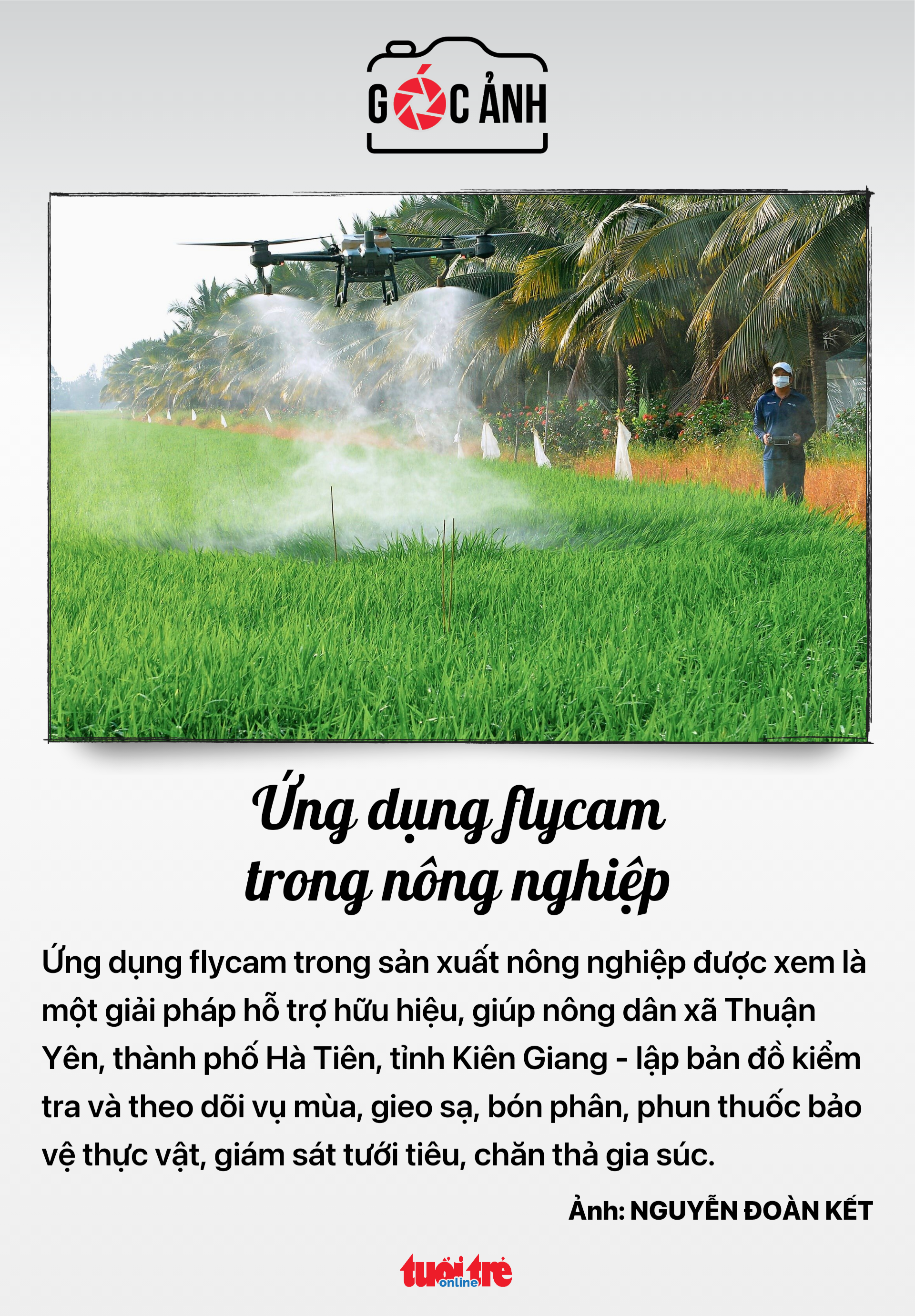 農業における Flycam アプリケーション - 写真: NGUYEN DOAN KET