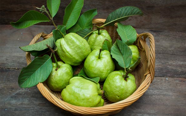 Ăn được, ngủ được nhưng người lớn vẫn gầy ốm, suy dinh dưỡng là sao?- Ảnh 3. Ổi rất giàu dinh dưỡng, nhưng phải biết ăn đúng cách