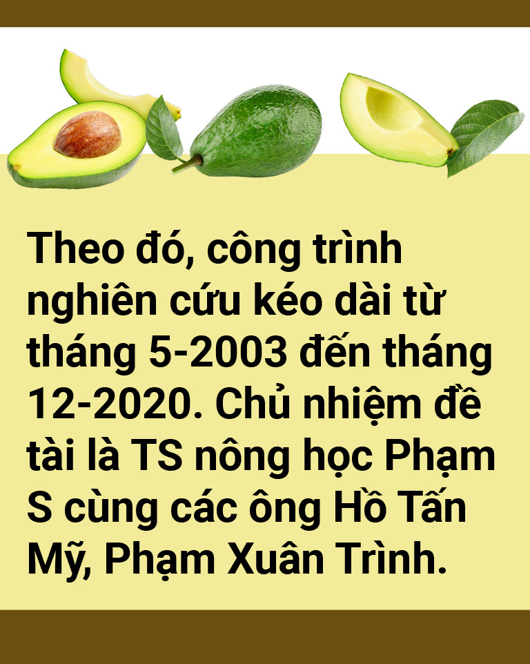 Tản mạn về quả bơ - Ảnh 8.