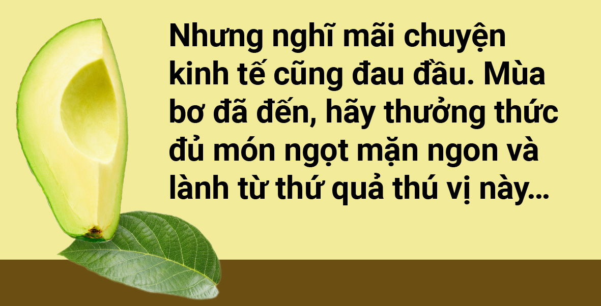 Tản mạn về quả bơ - Ảnh 12.