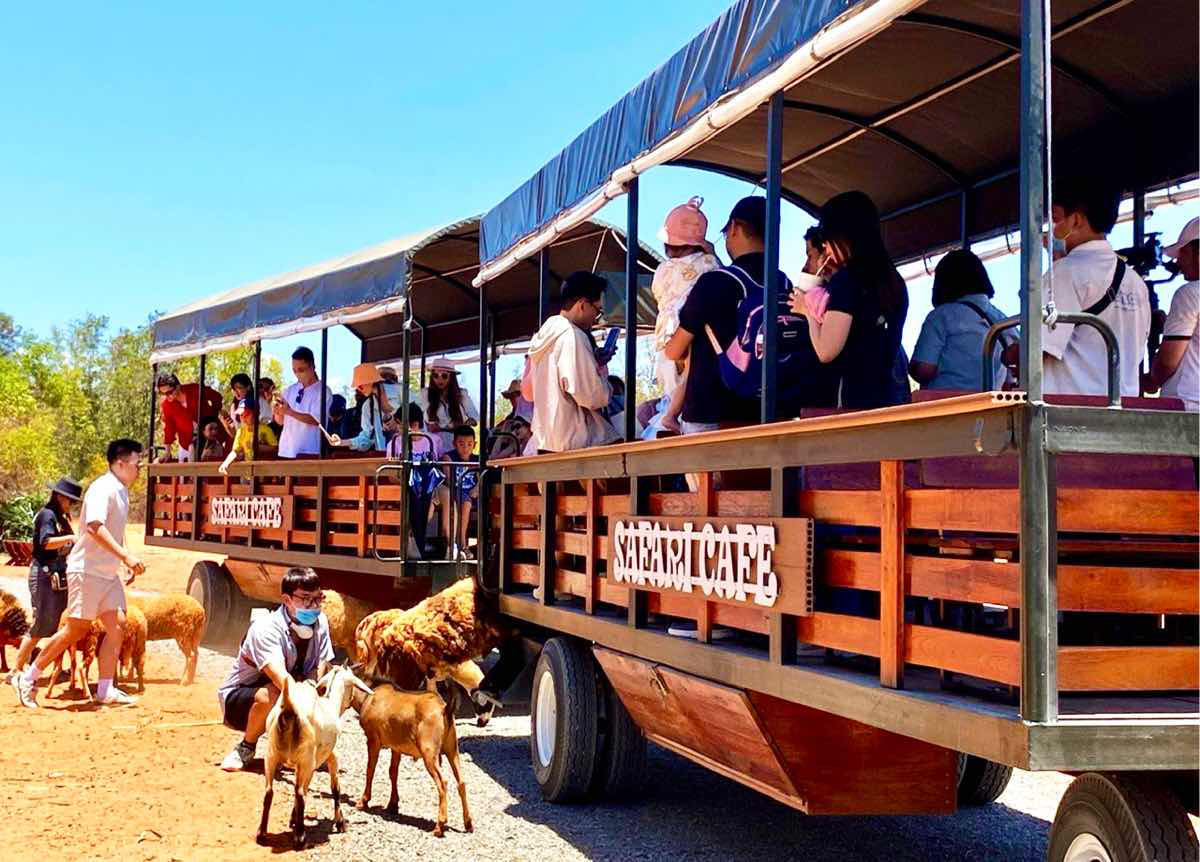 NovaWorld Phan Thiet – et attraktivt reisemål for sommerturisme – Bilde 3. NovaWorld Phan Thiet - điểm đến hấp dẫn mùa du lịch hè- Ảnh 3.