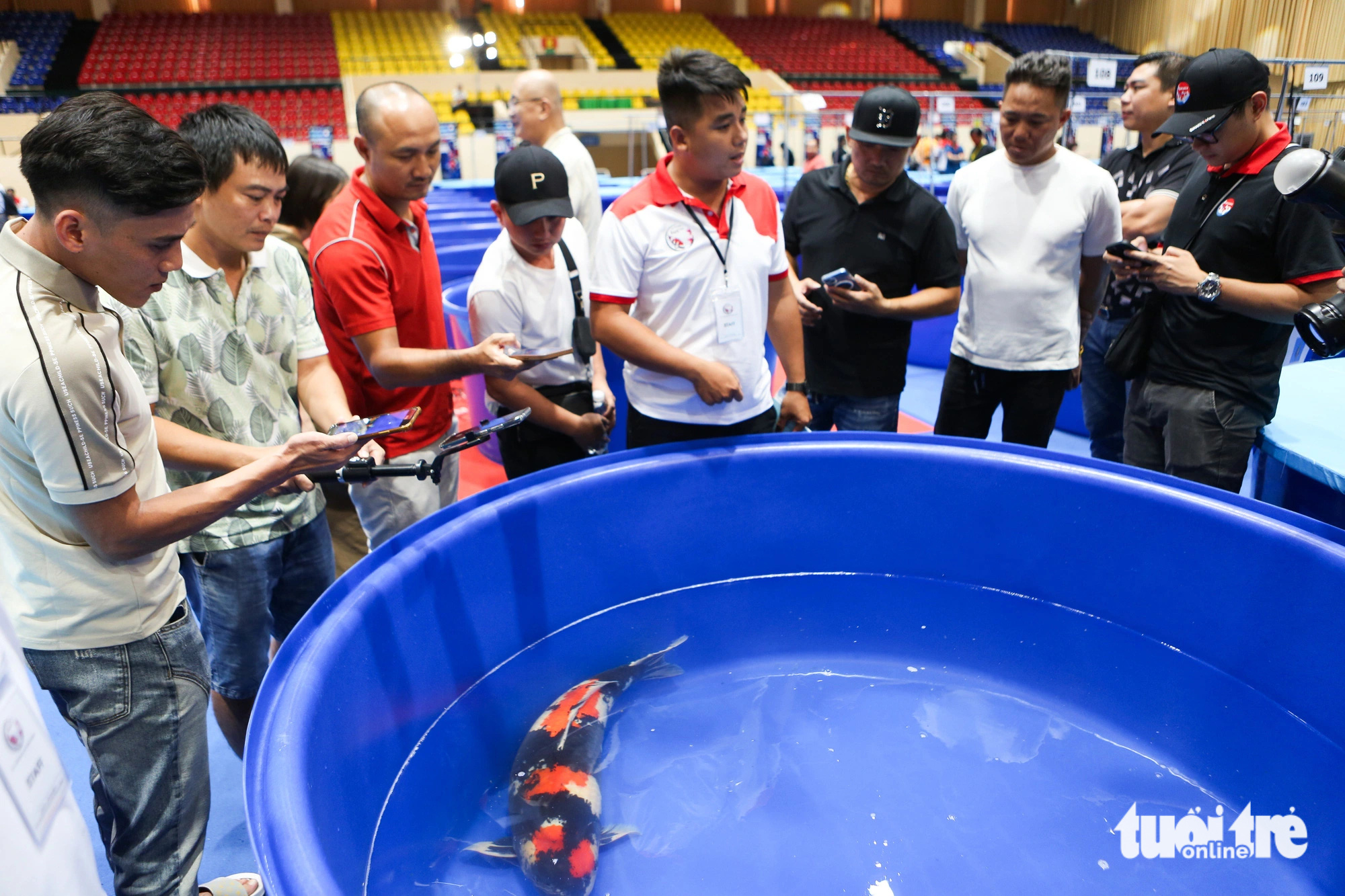 ត្រីខជិត ៦០០ ក្បាលបានចូលរួមកម្មវិធីប្រកួតសម្រស់ត្រី ដែលខ្លះមានតម្លៃជាង ១ ពាន់លានដុង - រូបថត ៧. Khán giả thích thú ngắm con cá size 90 pu đoạt giải cao nhất ở bảng A, có trị giá hơn 1 tỉ đồng của anh Phạm Phước Tài (TP Huế) - Ảnh: PHƯƠNG QUYÊN