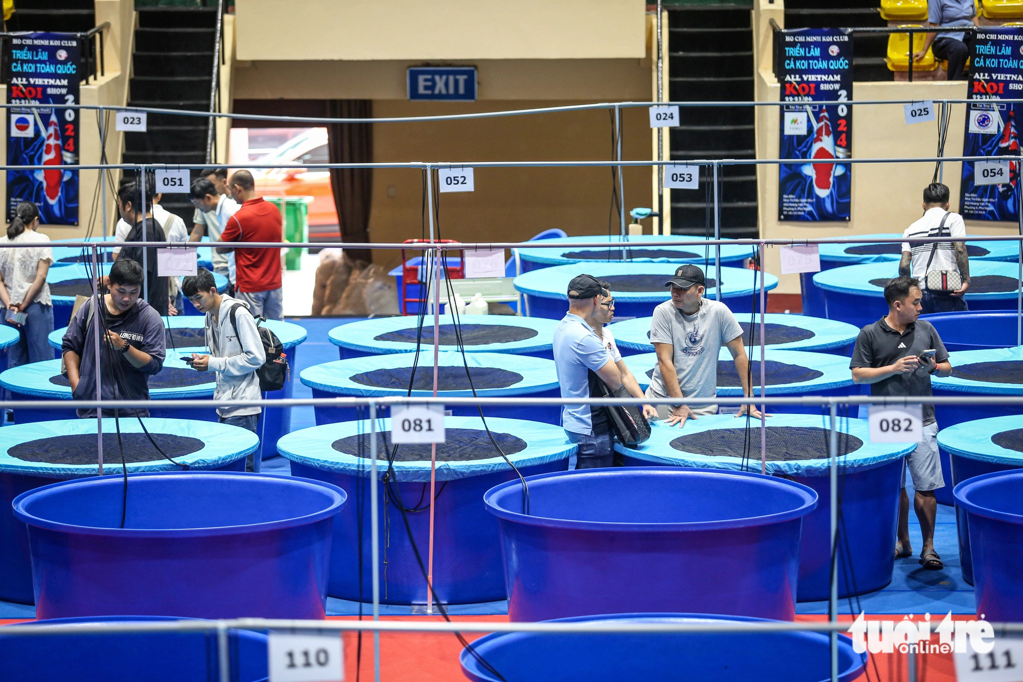 ត្រីខជិត ៦០០ ក្បាលបានចូលរួមក្នុងកម្មវិធីប្រកួតសម្រស់ត្រី ដែលខ្លះមានតម្លៃជាង ១ ពាន់លានដុង - រូបថត ៨. Người dân thích thú tận mắt chứng kiến những con cá koi với kích thước