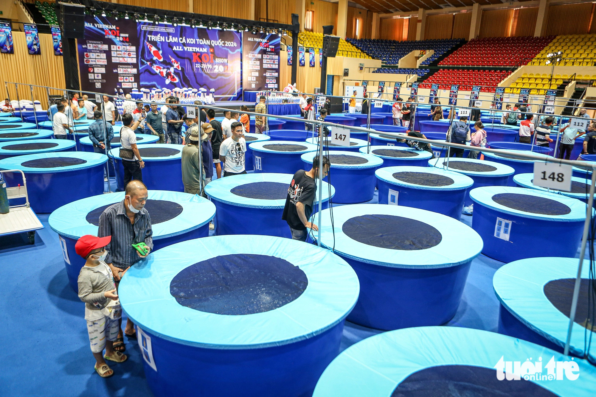 ត្រីខជិត ៦០០ ក្បាលបានចូលរួមកម្មវិធីប្រកួតសម្រស់ត្រី ខ្លះមានតម្លៃជាង ១ ពាន់លានដុង - រូបថត ១១. Triển lãm cá koi toàn quốc 2024 lần thứ 7 (All Viet Nam Koi Show 2023) diễn ra từ ngày 22 đến 23-6 tại nhà thi đấu Quân khu 7 (quận Phú Nhuận, TP.HCM) - Ảnh: PHƯƠNG QUYÊN