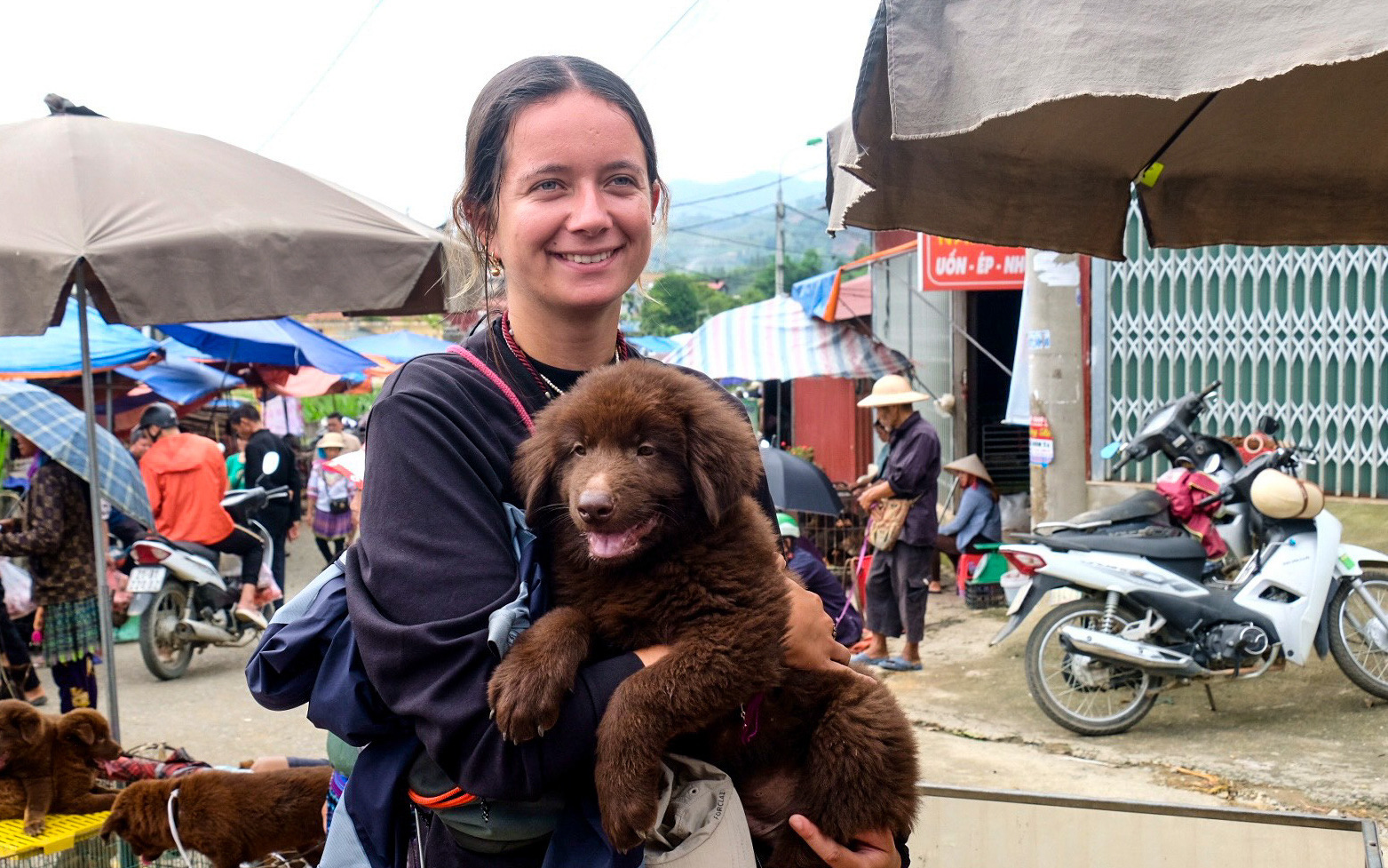 Vụ Quang Linh Vlog bị chê ăn sầu riêng quá nhiều trên livestream: Vẫn còn kịp cứu vãn- Ảnh 5. Livestream bán chó ở chợ phiên Bắc Hà, thu nhập bạc triệu mỗi buổi
