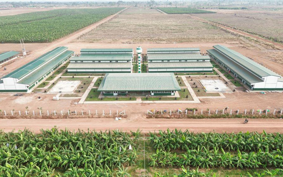 THACO xây dựng đội ngũ nhân sự vững mạnh- Ảnh 4. THACO AGRI đầu tư cơ sở vật chất, chăm lo đời sống người lao động
