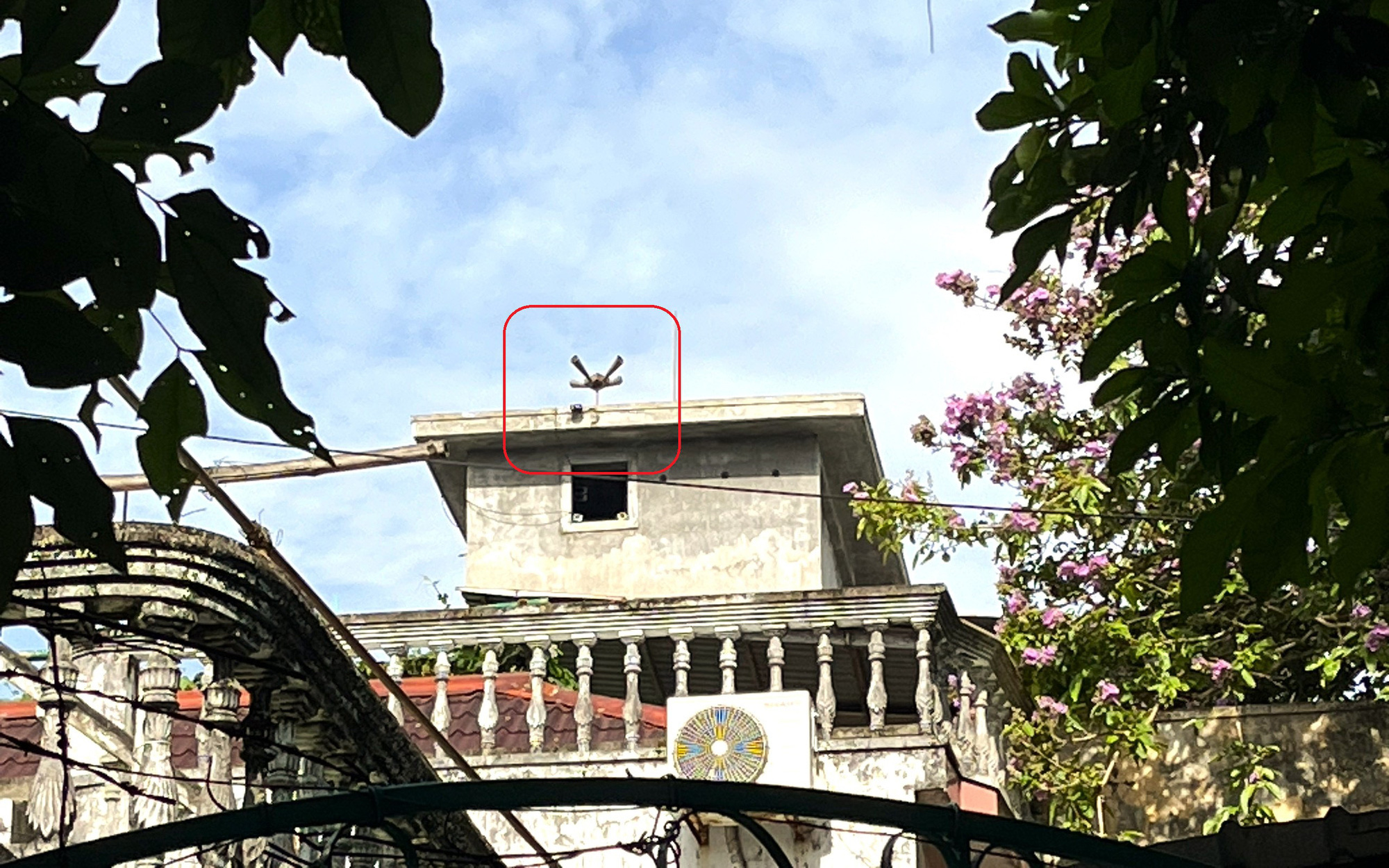 Camera ghi hình người đàn ông nửa đêm đột nhập trộm 5kg tổ yến- Ảnh 2. Nhà yến phát loa inh ỏi cạnh điểm thi tốt nghiệp THPT, ngày thường học sinh khốn khổ thế nào?