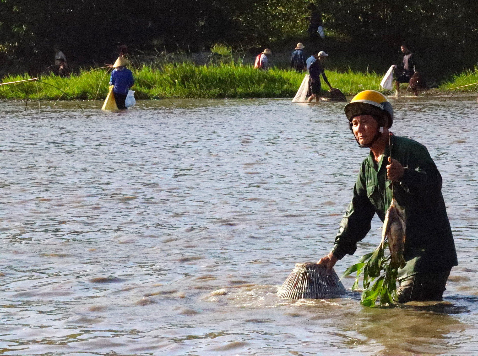 Hàng ngàn người đua nhau xuống đầm bắt cá trong tiếng reo hò - Tuổi Trẻ ...