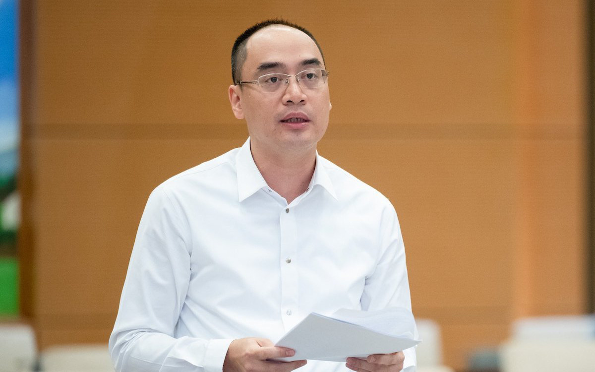 Đình chỉ 4 kiểm toán viên Deloitte Việt Nam sau vụ SCB- Ảnh 2. Ngân hàng SCB không phải đối tượng kiểm toán của Kiểm toán Nhà nước