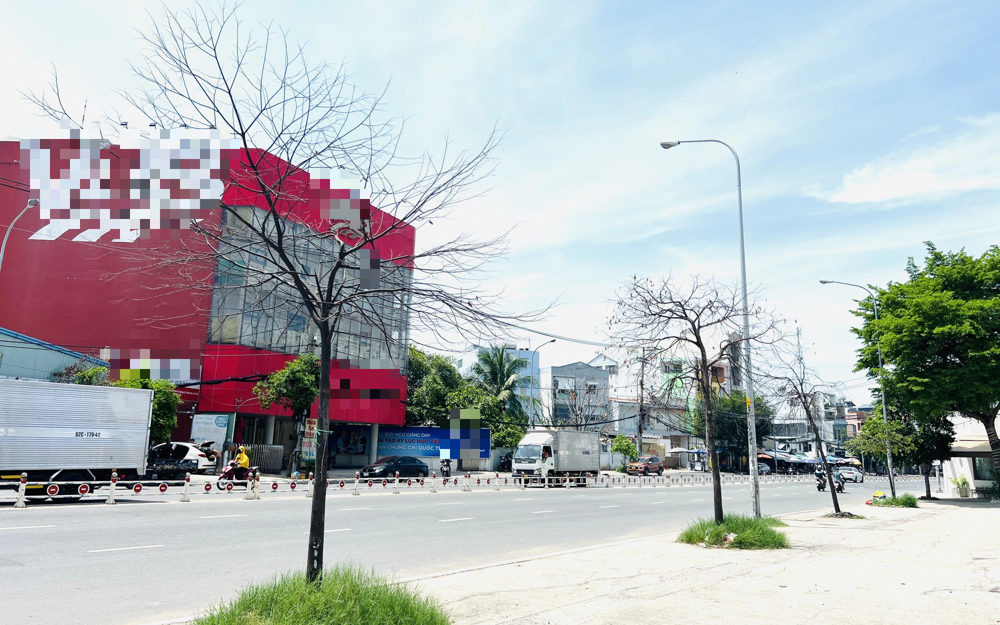 Sở Xây dựng TP.HCM: Cây xanh chết khô hàng loạt do... chịu nhiệt kém- Ảnh 2. Cây xanh chết khô hơn nửa năm không ai thay