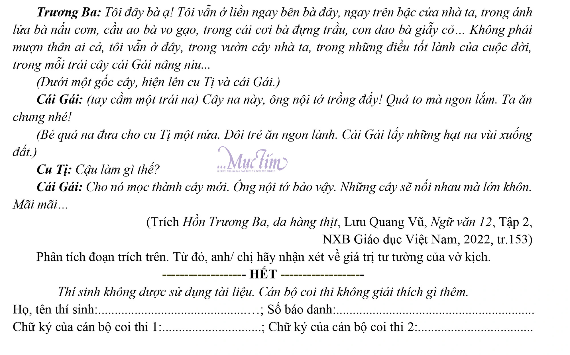 Ôn tập thi tốt nghiệp THPT năm 2024: Đề và đáp án thi thử ngữ văn- Ảnh 2.