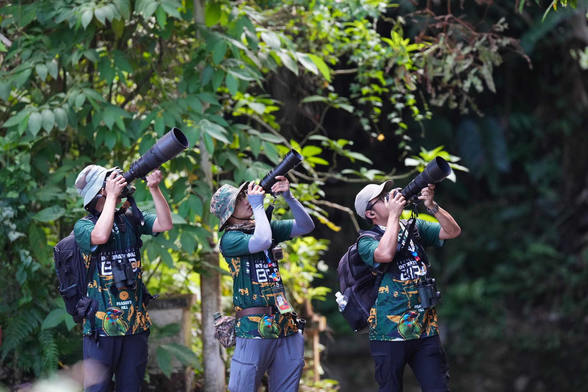 Ba tay máy Việt Nam đang săn ảnh chim tại Malaysia Birdrace 2024 - Ảnh: Huỳnh Thanh Danh