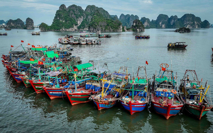 Tháng 7, khả năng xuất hiện 1-2 cơn bão, áp thấp nhiệt đới ảnh hưởng tới đất liền