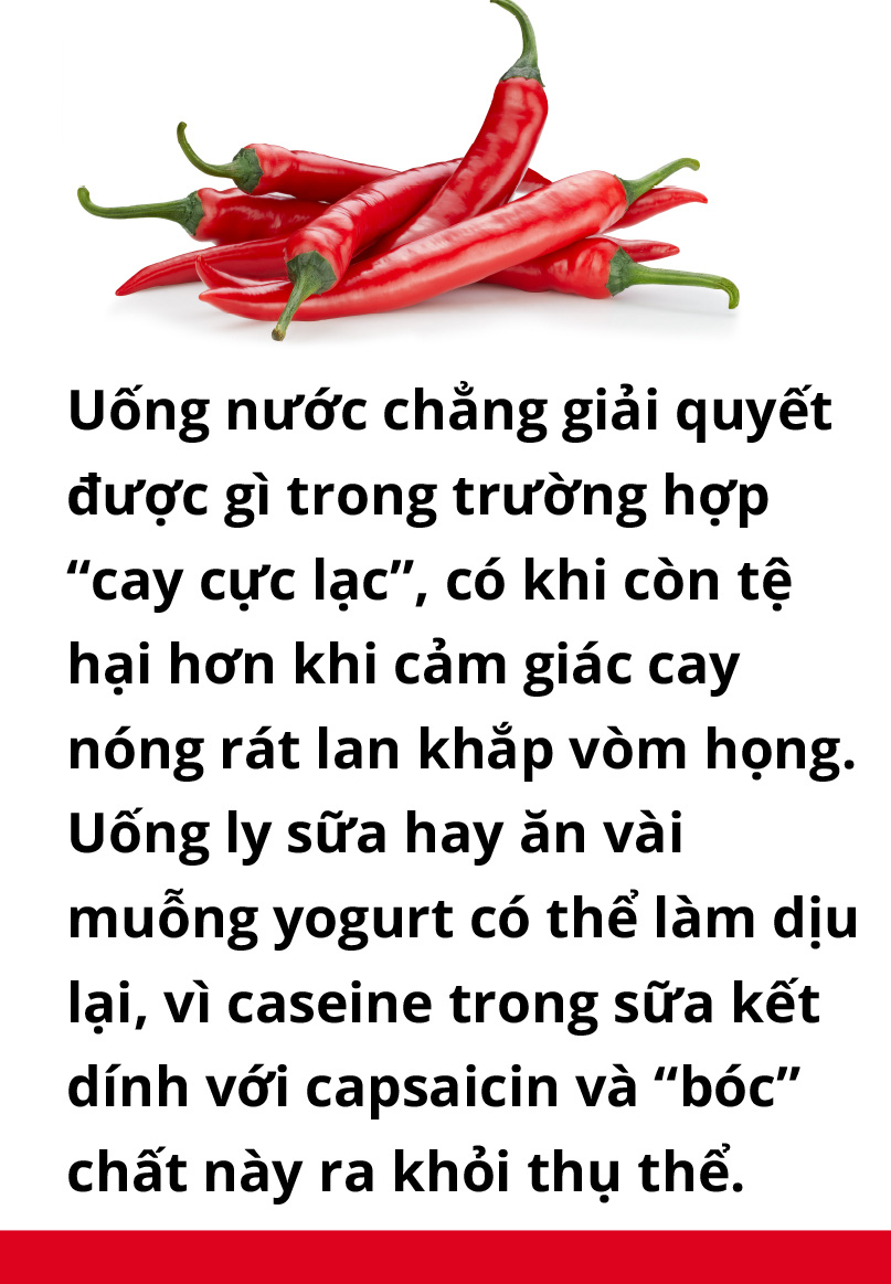 Ăn cay và xứ sở - Ảnh 13.