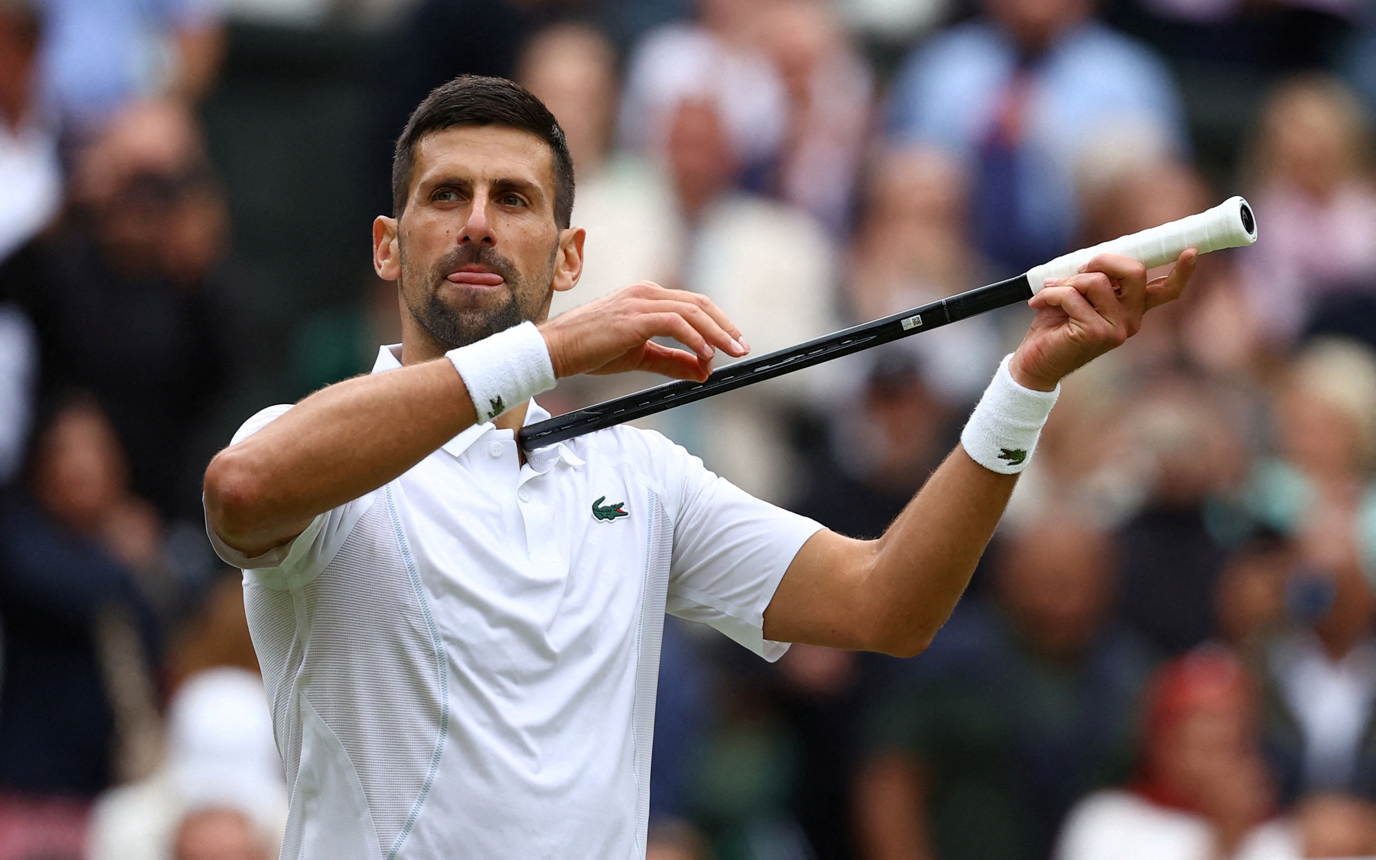 Lịch thi đấu chung kết đơn nam Wimbledon giữa Djokovic và Alcaraz- Ảnh 2. 'Đại chiến' Djokovic - Alcaraz ở chung kết Wimbledon 2024