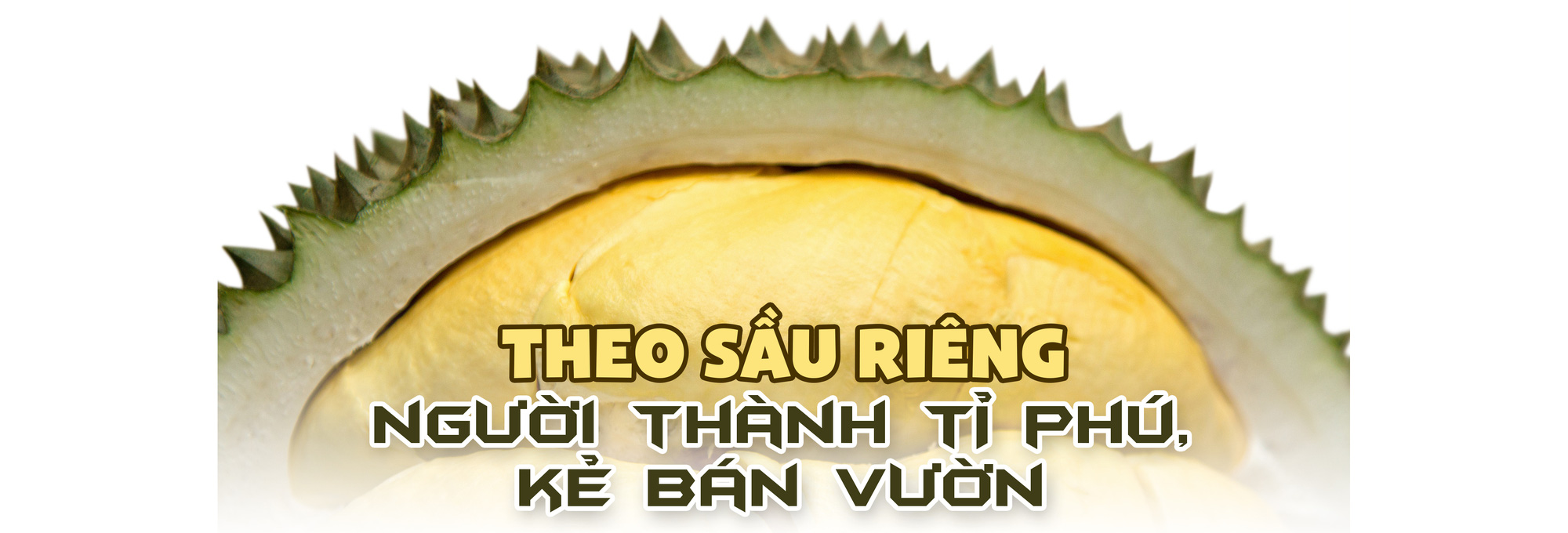 Canh bạc sầu riêng - Ảnh 2.