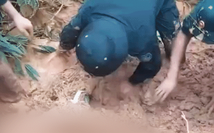 Nạn nhân vụ sạt lở ở Hà Giang: 'Lấy tay cào đất để có thể thở'- Ảnh 3. Sạt lở đất vùi lấp xe khách ở Hà Giang, 11 người chết