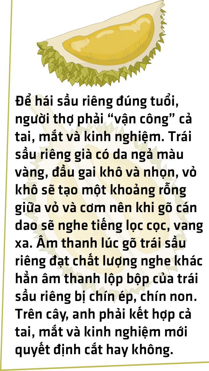 Canh bạc sầu riêng - Ảnh 13.