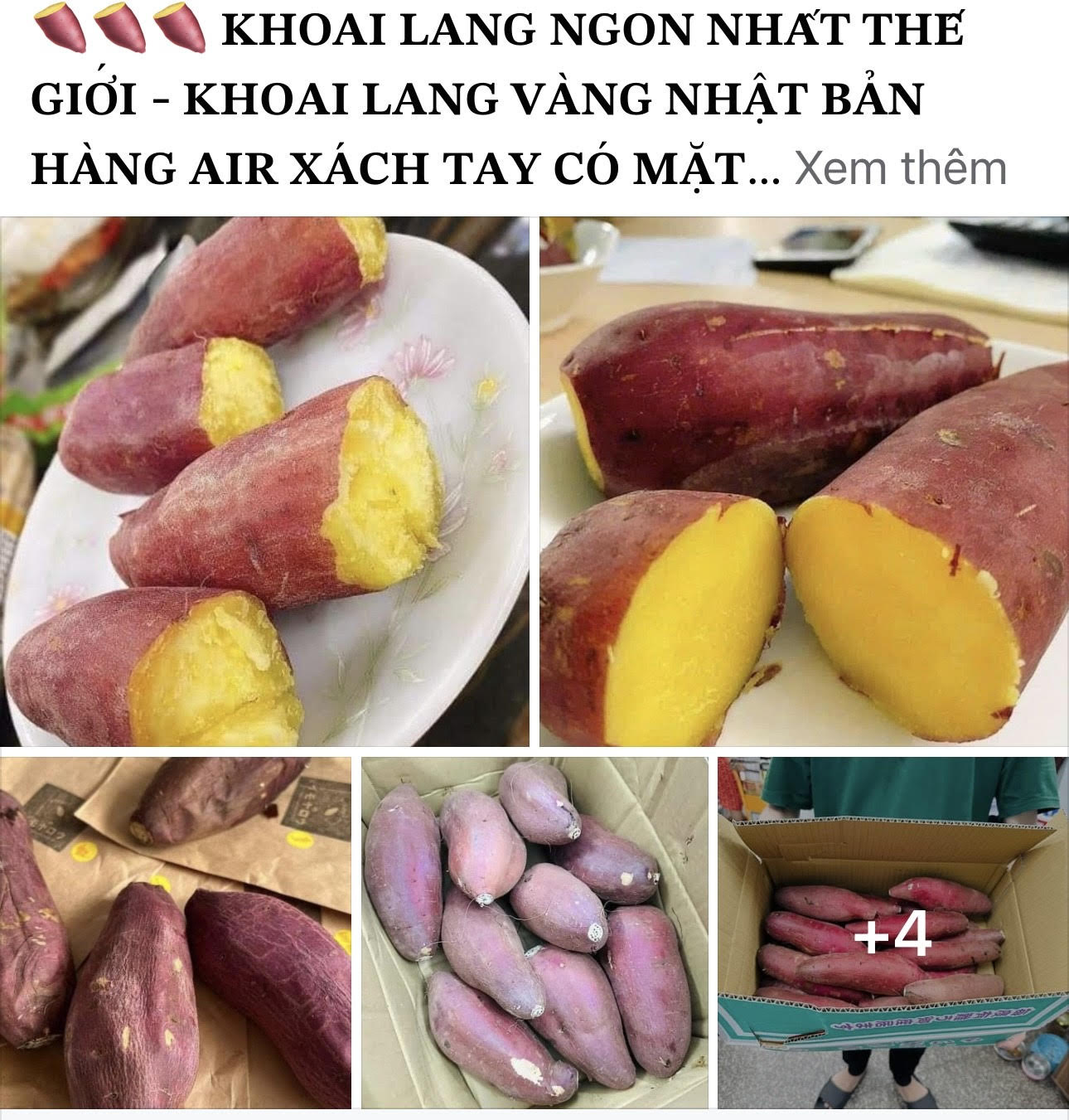 Khoai lang Nhật rao bán trên mạng xã hội với giá đắt đỏ, khoảng 550.000 đồng/kg - Ảnh chụp màn hình: THẢO THƯƠNG