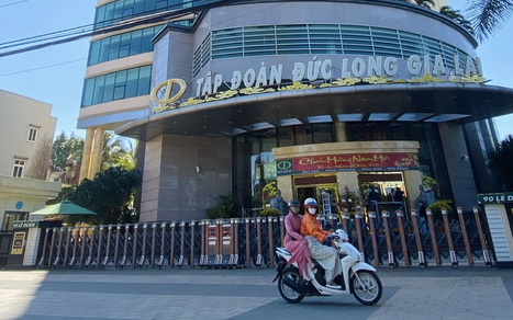 Tòa không mở thủ tục phá sản lần 2 với Đức Long Gia Lai- Ảnh 2. Nợ tiền tỉ, Đức Long Gia Lai lại bị yêu cầu mở thủ tục phá sản
