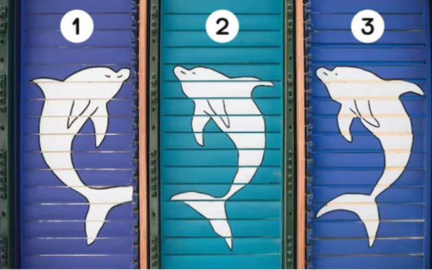 Quiz: Nét tính cách nào đặc biệt nổi bật ở bạn?- Ảnh 2. Quiz: Hình ảnh bộc lộ trí thông minh tiềm ẩn của bạn