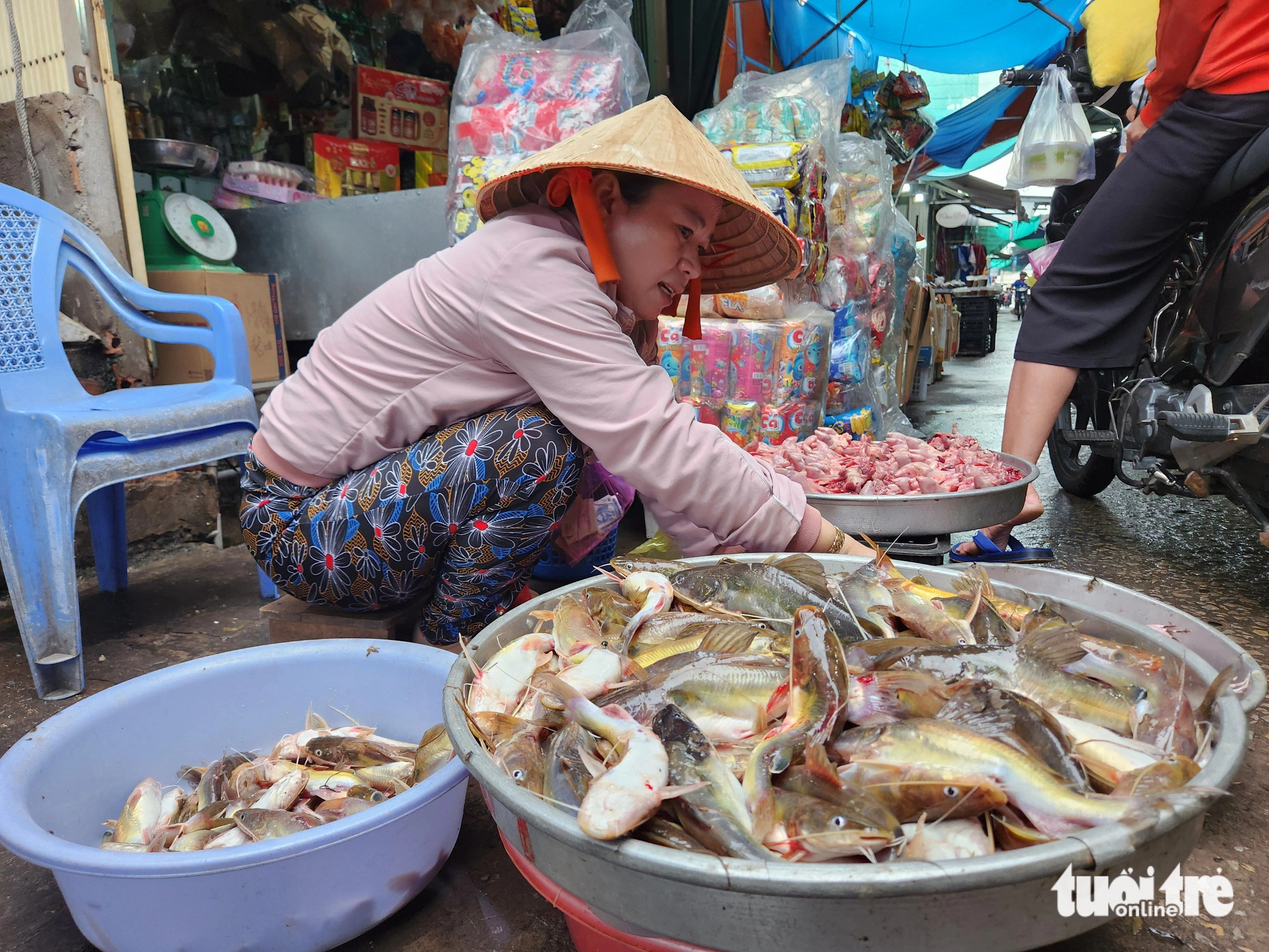 Cá lăng được tiểu thương chợ Nhà Bàng rao bán 120.000 đồng/kg - Ảnh: BỬU ĐẤU