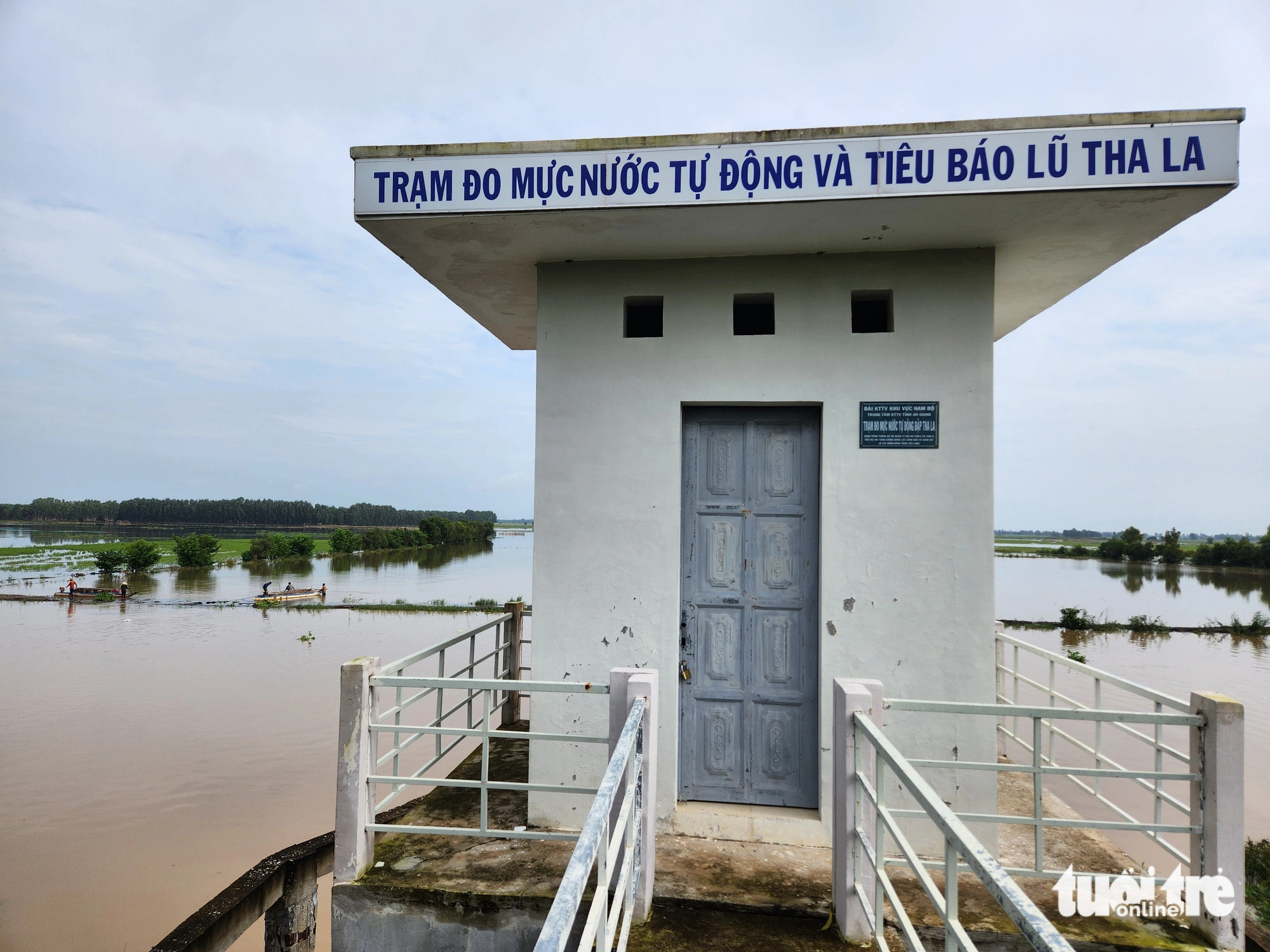 Nước lũ mang theo nước phù sa bao trùm cả cánh đồng biên giới giáp Campuchia - Ảnh: BỬU ĐẤU