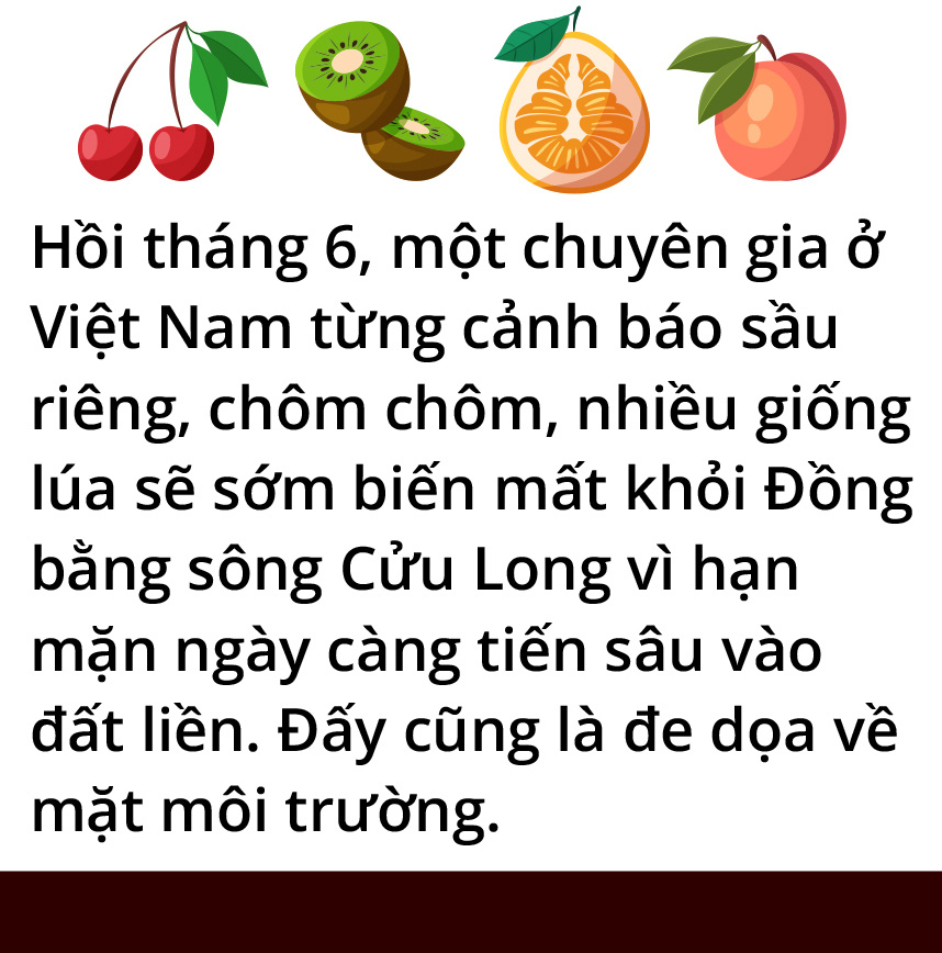 Trái cây cũng tuyệt chủng chứ - Ảnh 13.