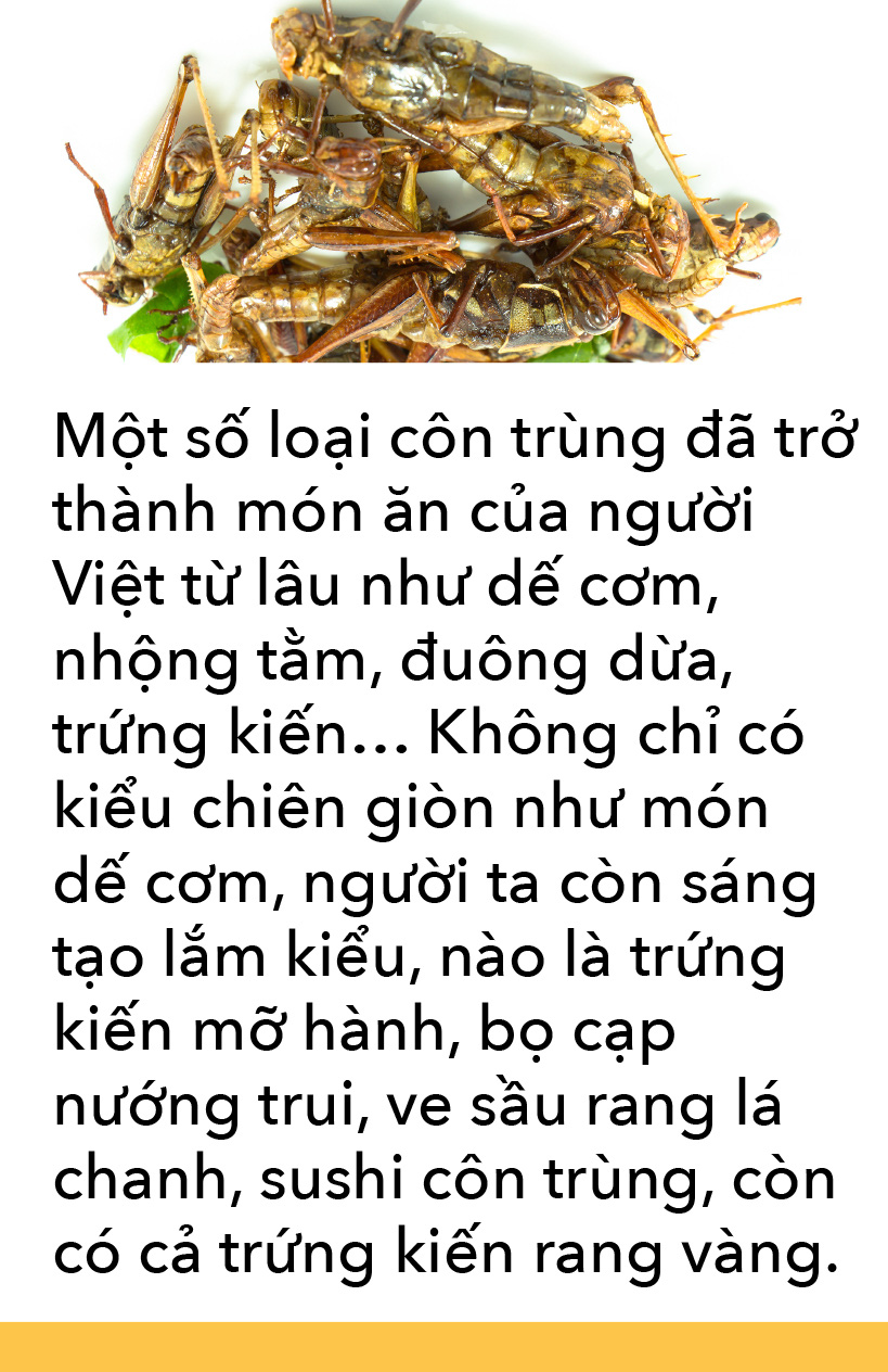 Món côn trùng, bếp núc ngày càng sáng tạo - Ảnh 11.