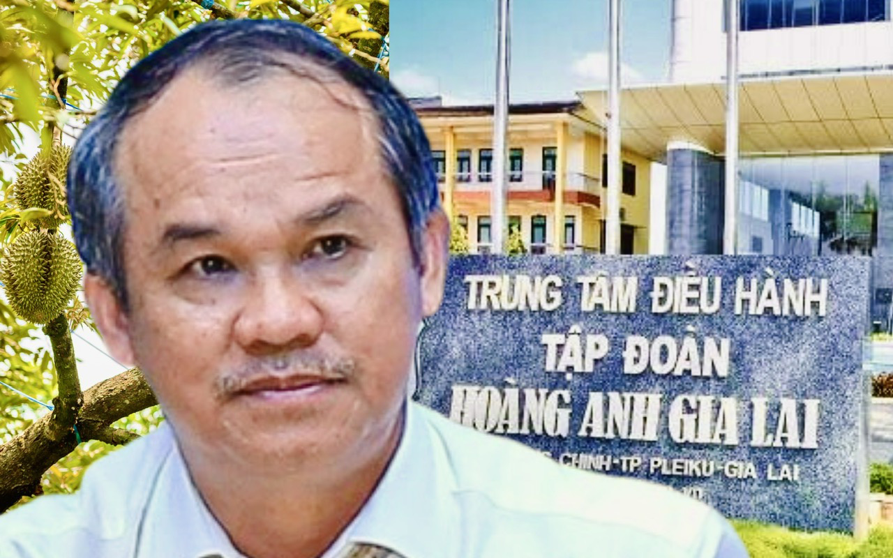 Con gái 'kín tiếng' của bầu Đức muốn gom thêm cổ phiếu Hoàng Anh Gia Lai- Ảnh 2. Hoàng Anh Gia Lai của bầu Đức xoay xở đưa cổ phiếu thoát diện bị cảnh báo