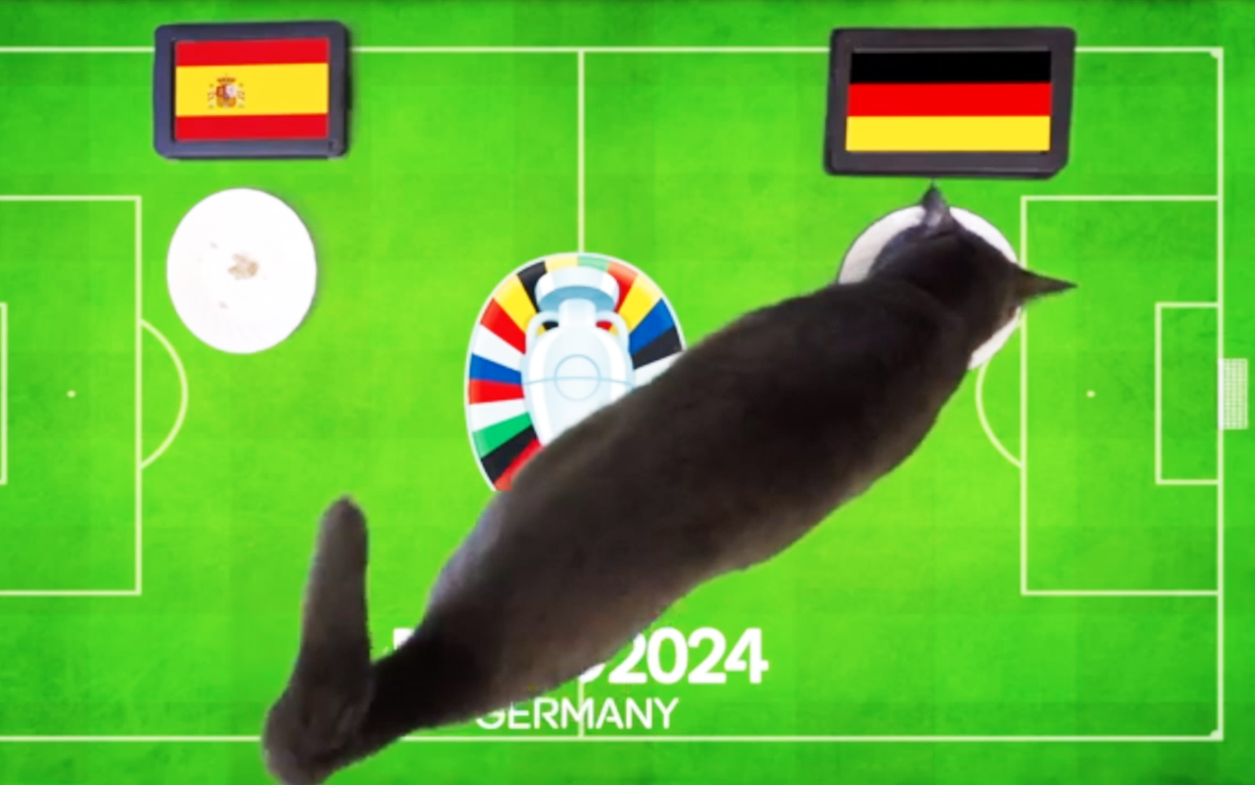 Lịch trực tiếp Euro 2024: Anh gặp Thụy Sĩ, Hà Lan đụng Thổ Nhĩ Kỳ- Ảnh 2. Mèo mun dự đoán tuyển Đức thắng Tây Ban Nha ở tứ kết Euro 2024